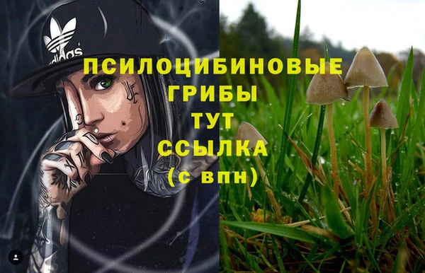 меф Алексин