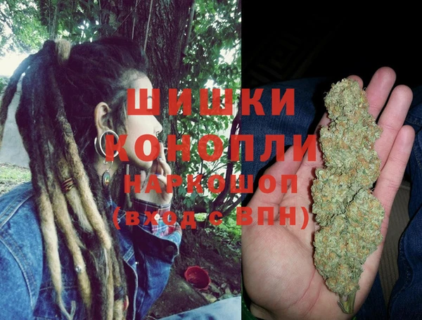 винт Алзамай