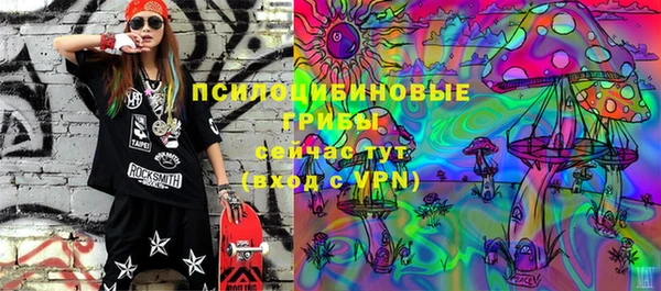 винт Алзамай