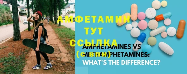 винт Алзамай