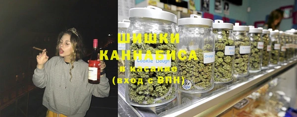 винт Алзамай