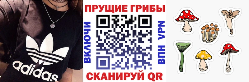 Псилоцибиновые грибы Magic Shrooms  сколько стоит  Агидель 